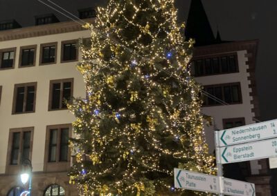 Wiesbadener Weihnachtsmarkt 2022 (1)